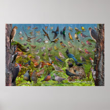 Oiseaux de jardin de l'Ouest Grande