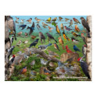 Oiseaux de jardin de Pennsylvanie