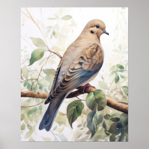 Poster Oiseaux de la colombe en deuil