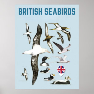 Poster Oiseaux de mer britanniques oiseaux royaux unis