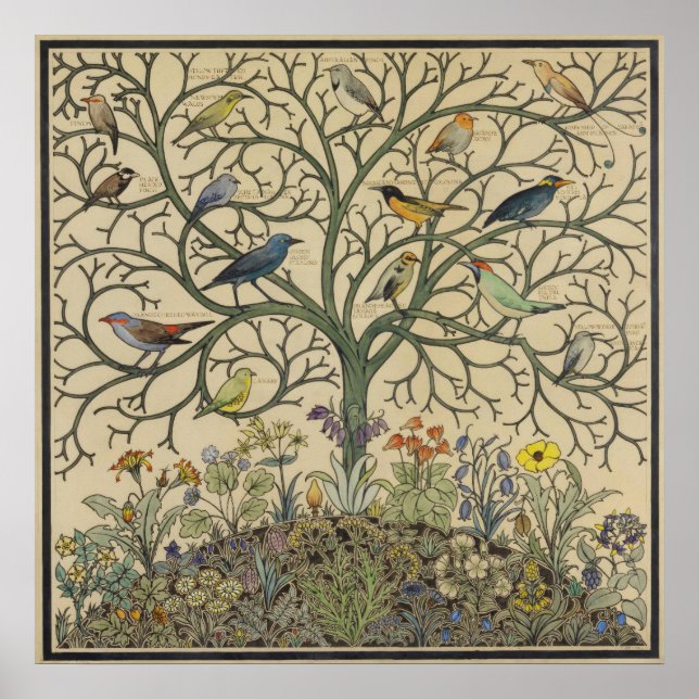 Poster Oiseaux de nombreux climes par C.F.A Voysey (Devant)