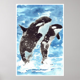Poster Oiseaux d'eau