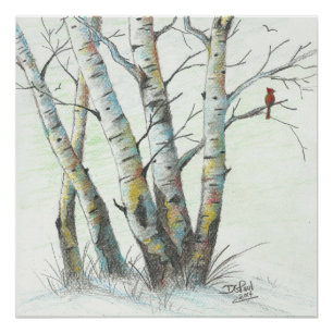 Poster Oiseaux d'hiver Art crayon coloré