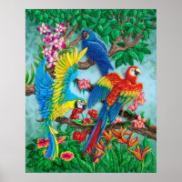 Poster Oiseaux du Paradis