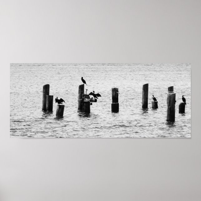 Poster Oiseaux du port de Boston (Devant)