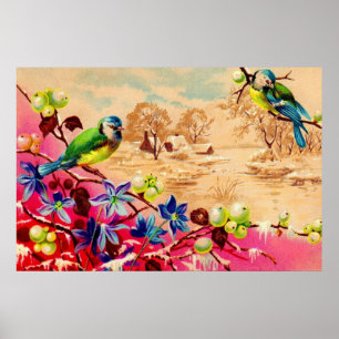 Poster oiseaux et baies