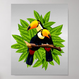 Poster Oiseaux exotiques