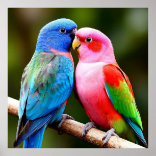 Poster Oiseaux Exotiques Perché Ensemble Cadeau pour Amat