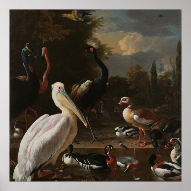 Poster Oiseaux fins (Devant)