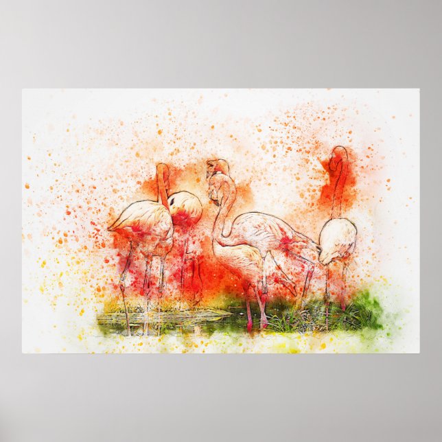 Poster Oiseaux Flamants roses (Devant)
