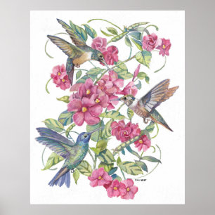 POSTER OISEAUX HUMMINEUX AUX FLEURS ROSES
