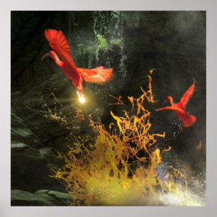 Poster Oiseaux Ibis Écarlate « VOLER LA LUMIÈRE »