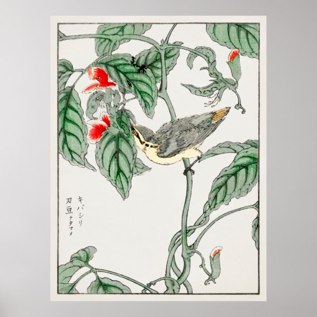 Poster Oiseaux japonais 2 (Devant)