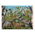 Oiseaux jardins de l'Indiana