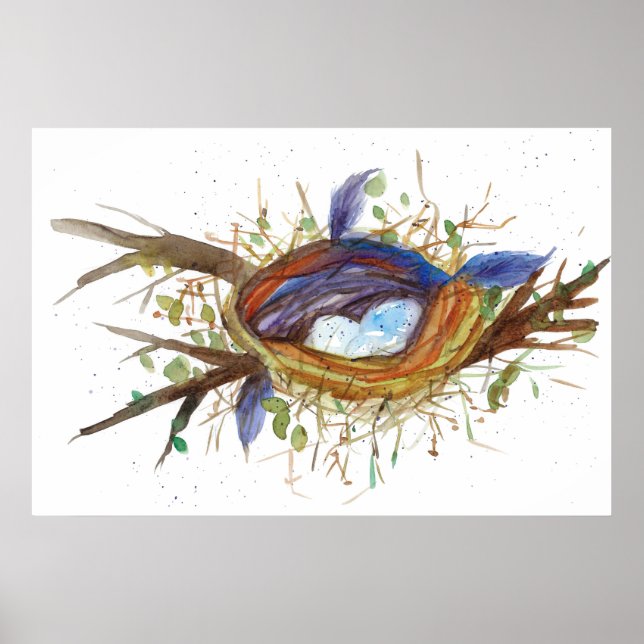 Poster Oiseaux Nid Oeufs Plumes Arbre Aquarelle (Devant)