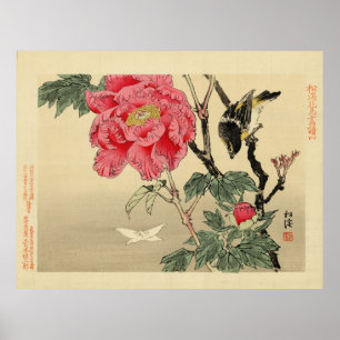 Poster Oiseaux observant un papillon