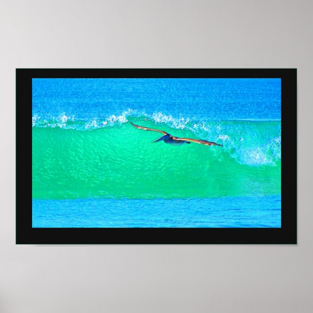 Poster Oiseaux pélicans Animaux sauvages (Devant)