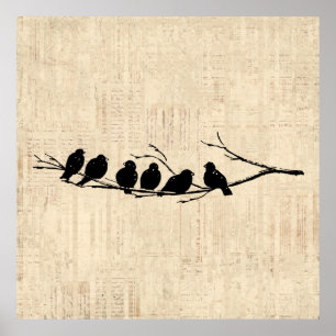 Poster Oiseaux sur la branche des arbres Oiseaux Vintages
