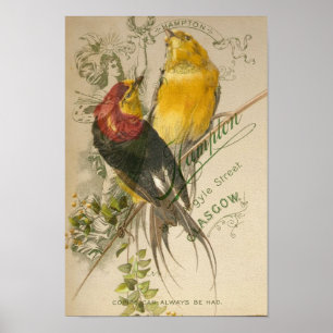 Poster Oiseaux sur le dos vintage de photo
