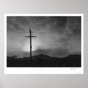 Poster Oiseaux sur le fil, même 1943