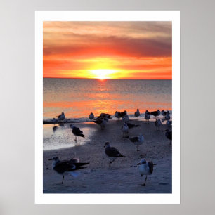 Poster Oiseaux Sur Le Rivage