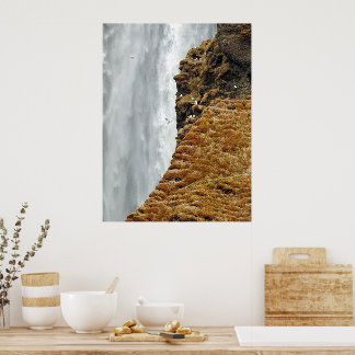 Poster Oiseaux sur les rochers