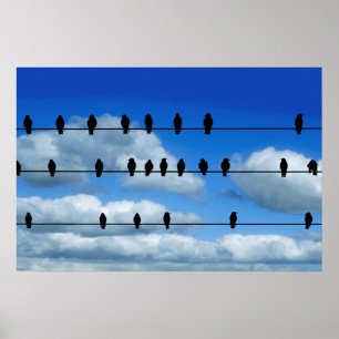 Poster Oiseaux Sur Un Fil