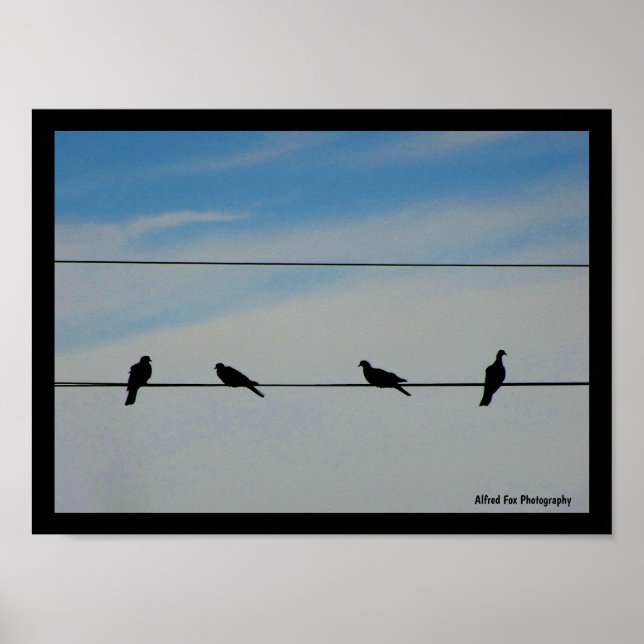 Poster Oiseaux sur un fil (Devant)