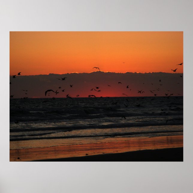 Poster Oiseaux survolant le lever du soleil océanique (Devant)