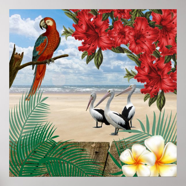 Poster Oiseaux tropicaux sur la plage (Devant)