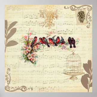 Poster Oiseaux vintages