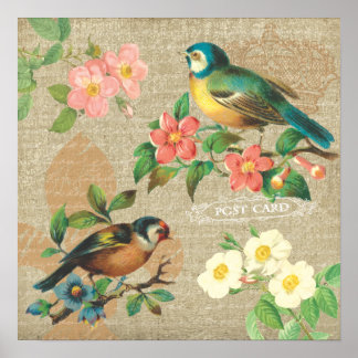 Poster Oiseaux Vintages rustiques et fleurs Shabby Elégan