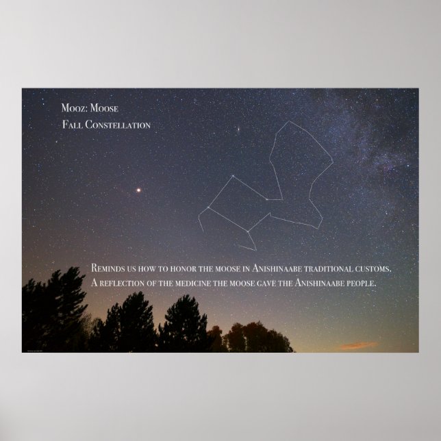 Poster Ojibwe Constellation d'orignaux (Devant)
