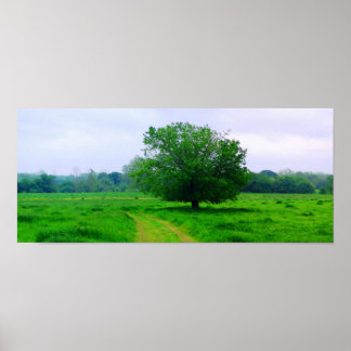 Poster Oka’ Yanahli (couleur saturée)
