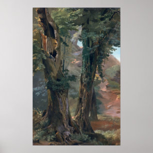 Poster Old Elms, vers 1835