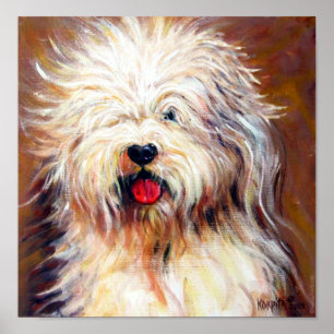 Poster Old English Sheep Dog Print