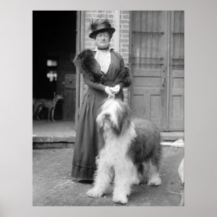 Poster Old English Sheepdog, 1915