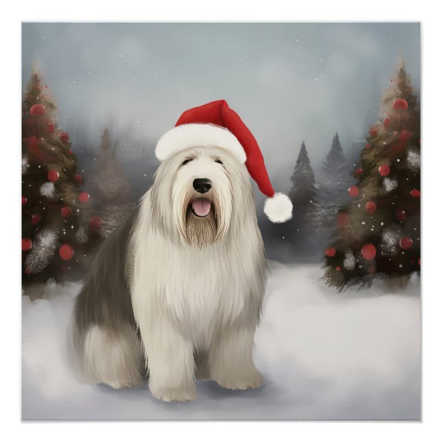 Poster Old English Sheepdog en Noël de neige (Devant)