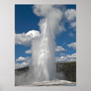 Poster Old Faithouse Geyser - Beaux Art Imprimer