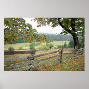 Poster Old Fence On A Farm