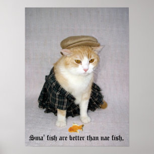 Poster Old Scottish Fold Dire