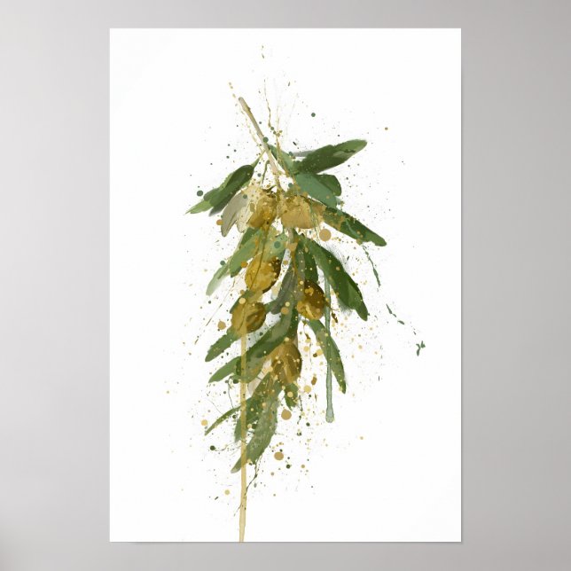 Poster Olive Branch (Devant)