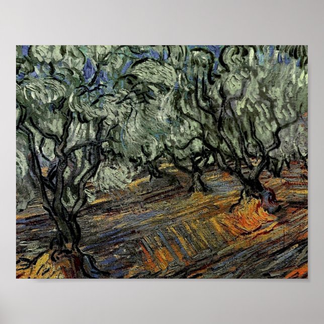 Poster Olive Grove, ciel bleu vif Van Gogh Art (Devant)