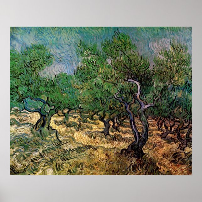 Poster Olive Grove par Vincent van Gogh (Devant)