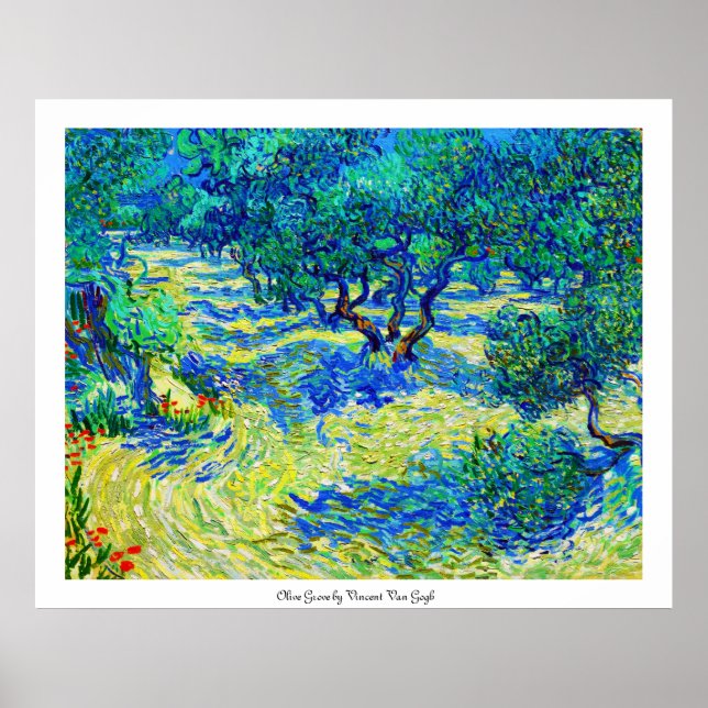 Poster Olive Grove par Vincent Van Gogh (Devant)