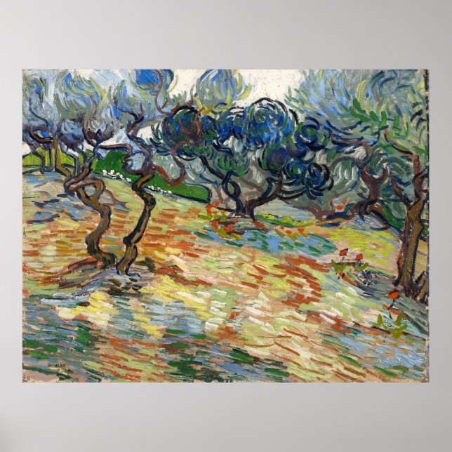 Poster Olive Trees par Vincent Van Gogh (Devant)