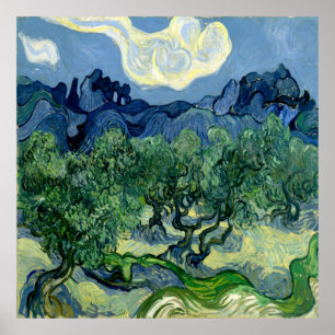Poster Olive Trees par Vincent van Gogh