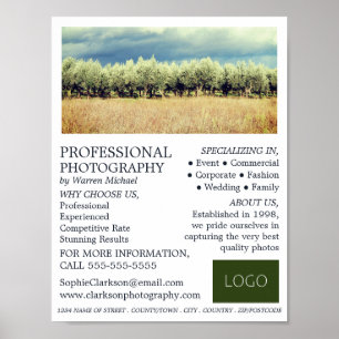 Poster Olive Trees, Photographie, Location de photographe