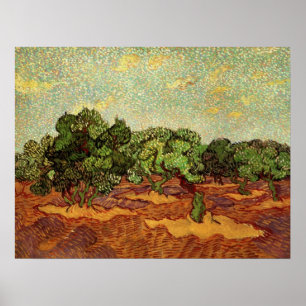Poster Oliveraie, ciel bleu pâle de Vincent van Gogh