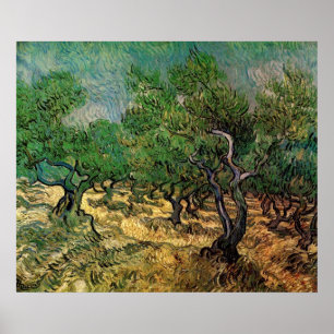 Poster Oliveraie par Vincent van Gogh
